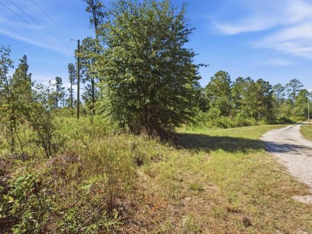 Land for sale in Gilbert, Lexington County