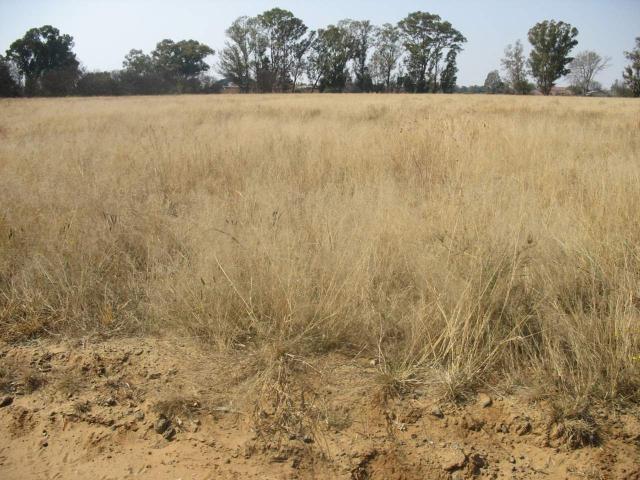 Land for sale in Bloemfontein, Free State