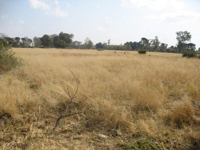 Land for sale in Bloemfontein, Free State