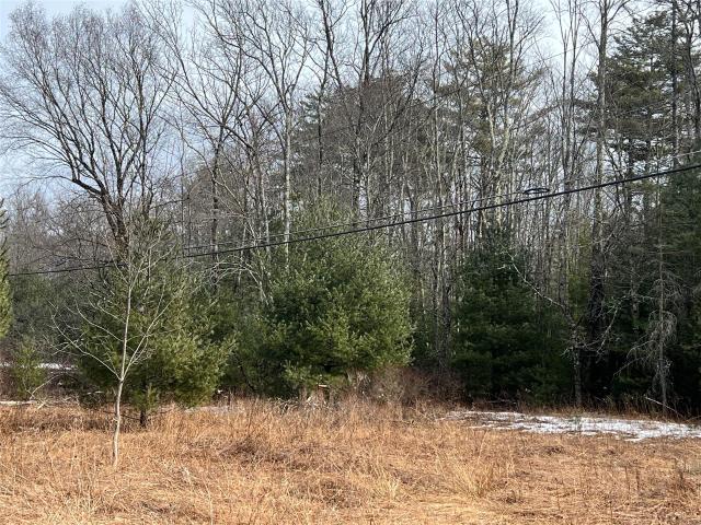 Land for sale in Accord, New York