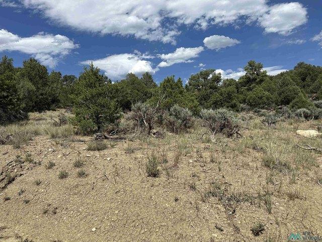 Land for sale in Los Ojos, New Mexico