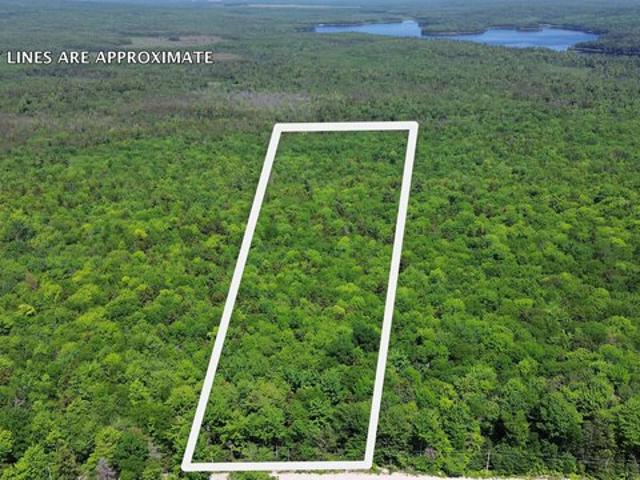 Land for sale in Franklin, Maine