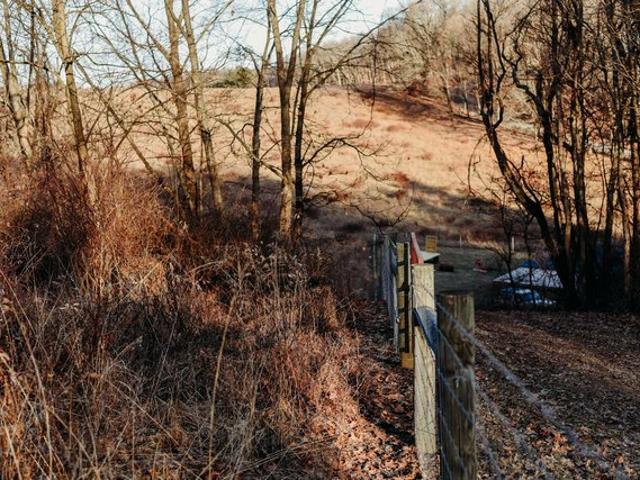 Land for sale in Saint Louisville, St. Louisville