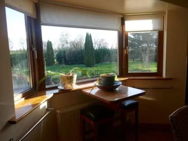 House to rent