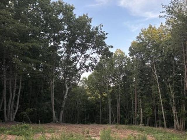 Land for sale in Virginia