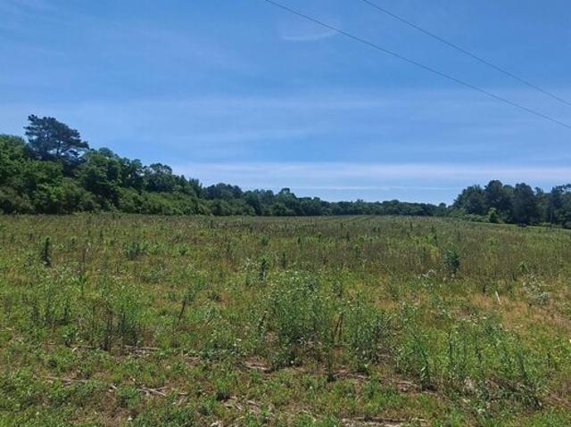 Land for sale in Albertville Land for sale in Albertville