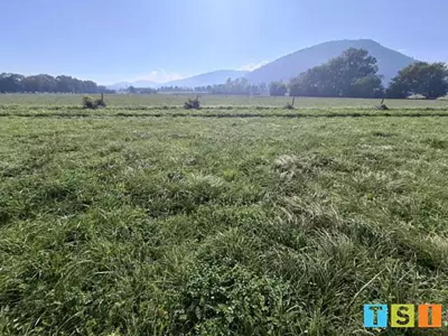 Terrain vente à Saint-Gaudens, Martres-de-rivière