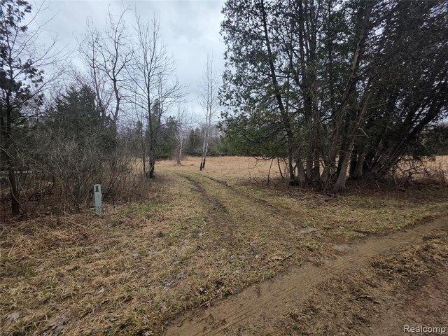 Land for sale in North Branch, Michigan