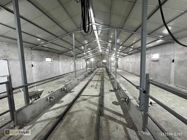 Sarioğlan, Kayseri içerisinde satılık Fabrika