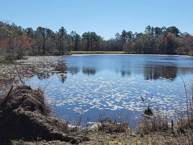 Land for sale in Lyons, Georgia