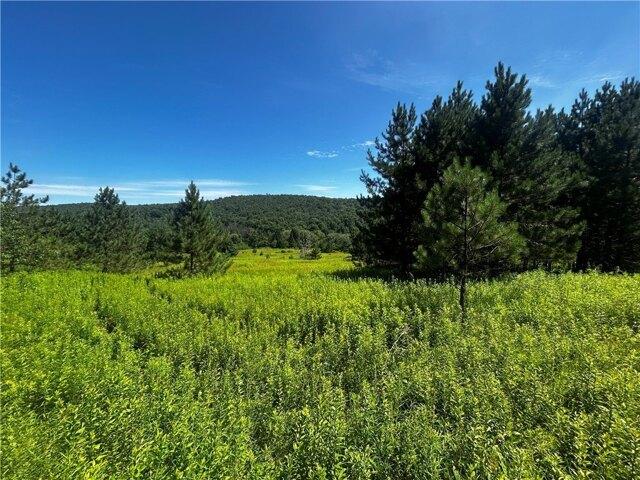 Land for sale in New York