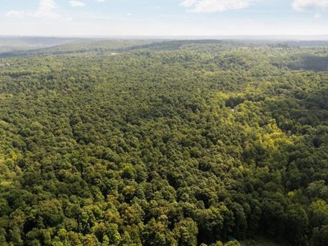 Land for sale in Mancelona, Michigan