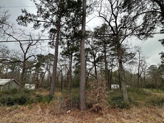 Land for sale in Walker, Texas