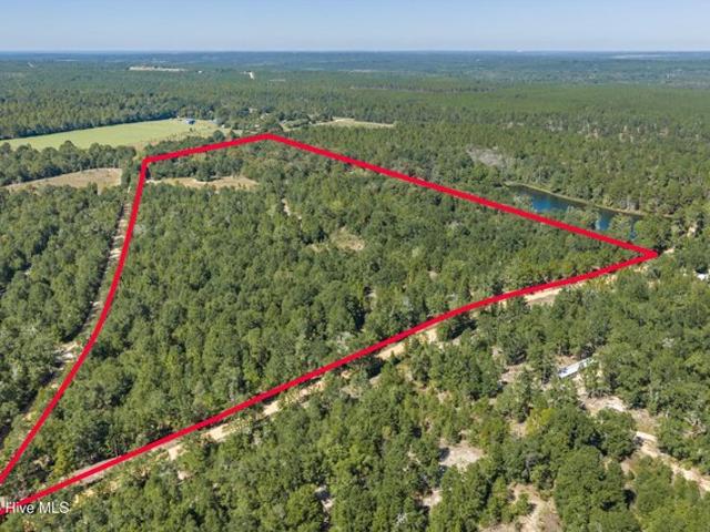 Land for sale in Wagener, Aiken County