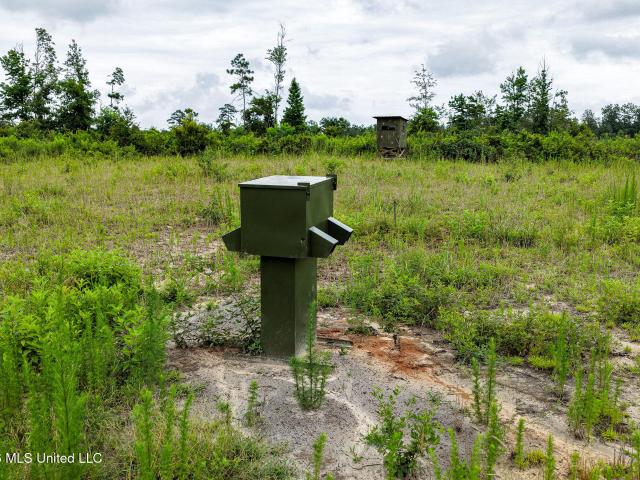 Land for sale in Liberty, Mississippi
