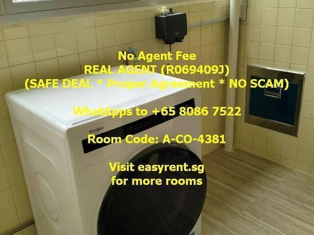 Room for rent in Thomson