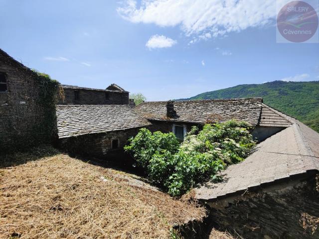 Maison vente à Florac, Saint-martin-de-lansuscle