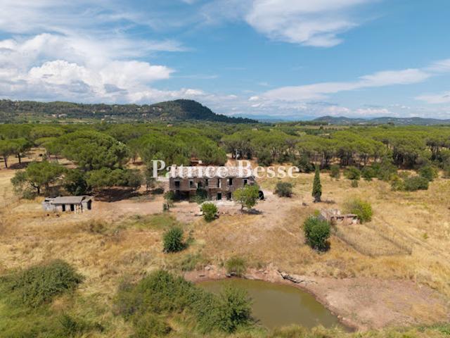 Ferme vente à Arrondissement de Draguignan, Vidauban
