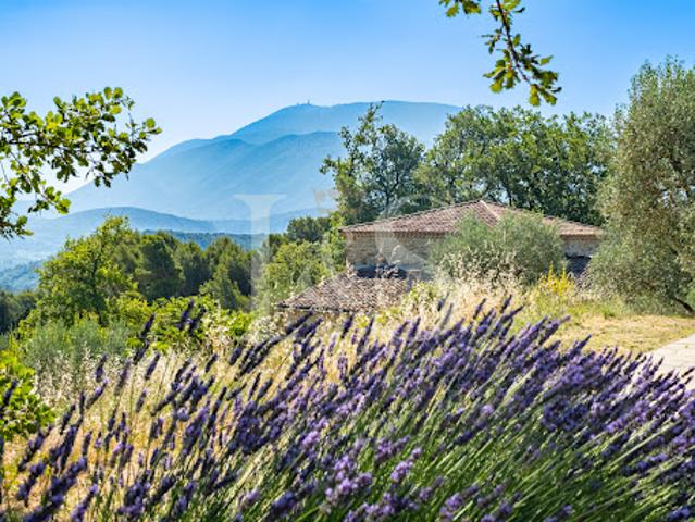 Ferme vente à Vaison-la-Romaine, Vaucluse