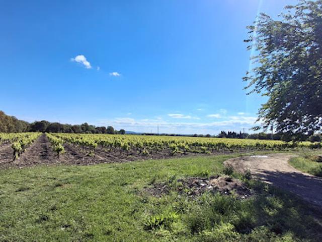 Ferme vente à Carpentras, Visan
