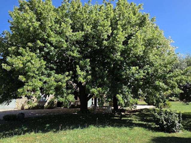 Ferme vente à Carpentras, Séguret