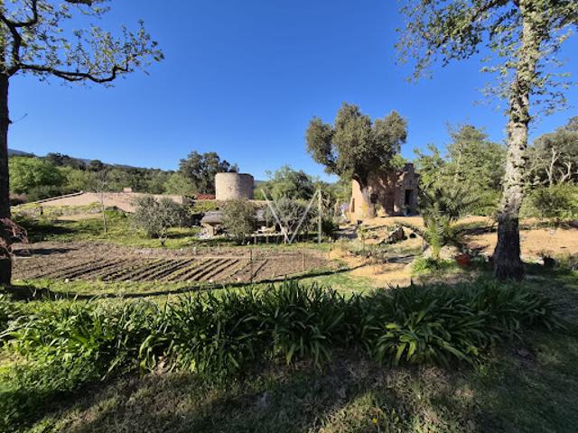 Ferme vente à Arrondissement de Draguignan, Plan-de-la-tour