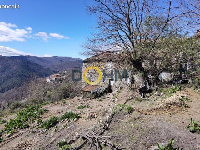 Maison vente à Florac, Vialas