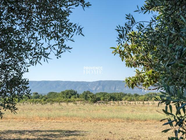 Ferme vente à Apt, Cabrières-d'avignon