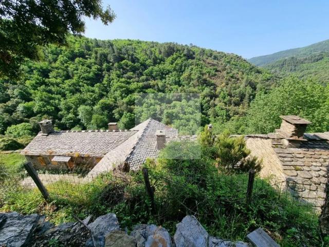 Maison vente à Florac, Le Collet-de-dèze