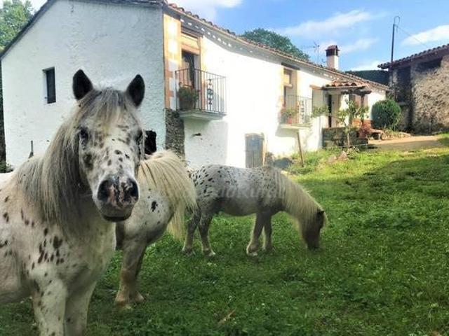 Casa en alquiler en Garrotxa, Catalunya