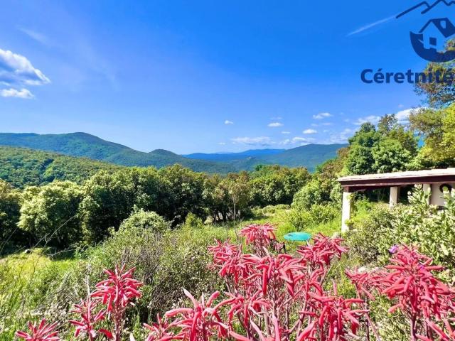 Maison vente à Céret, L'albère