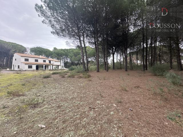 Ferme vente à Nîmes, Aigues-mortes