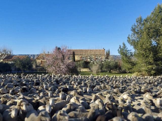 Maison vente à Aix-en-Provence, Mallemort