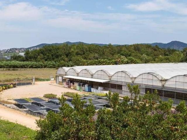 Casa en alquiler en Palafolls, Barcelona