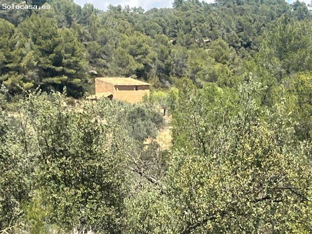 Local Comercial en venta en Horta De Sant Joan