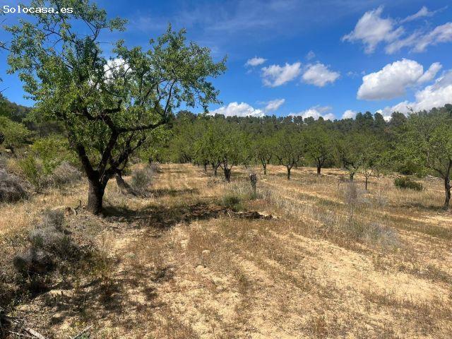 Local Comercial en venta en Terra Alta, Catalunya
