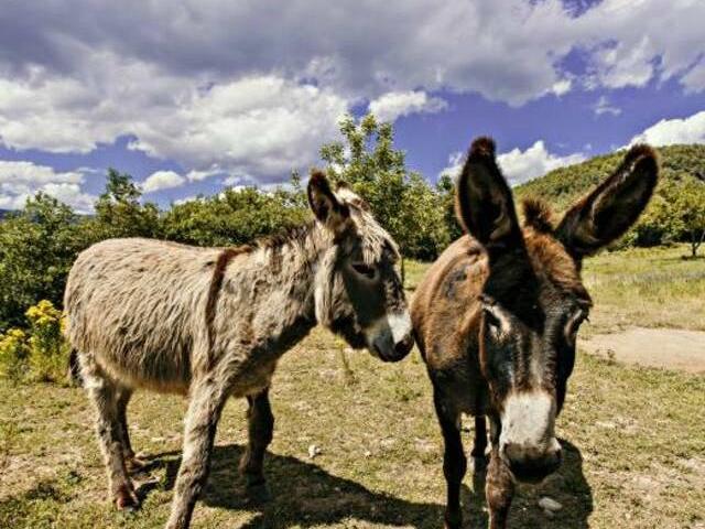 Casa en alquiler en Noguera, Catalunya