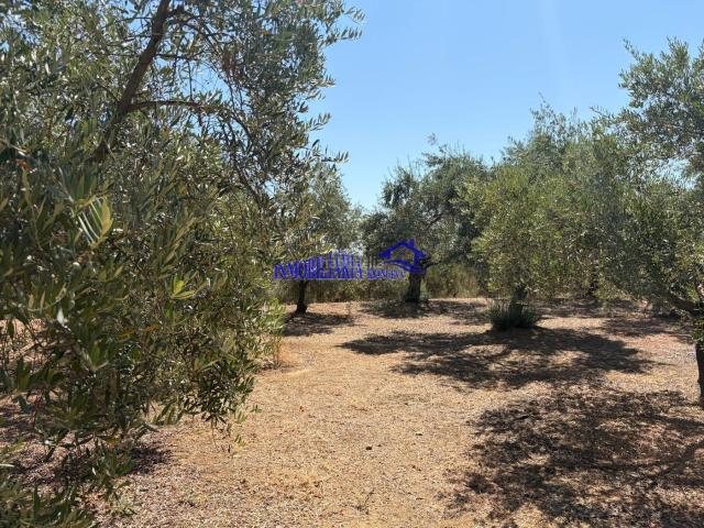 Casa Rural en venta en Adamuz, Andalucía