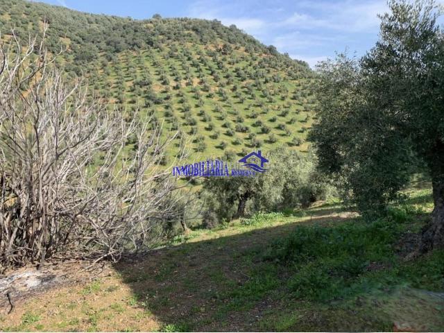 Casa Rural en venta en Adamuz, Andalucía