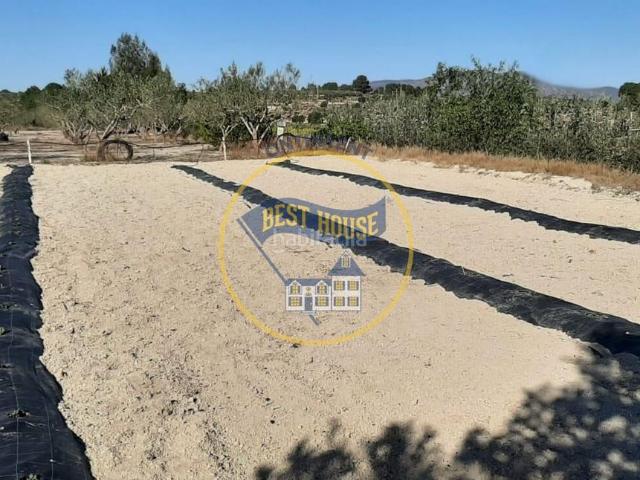 Casa Rural en venta en la Vall d'Albaida, Valencia