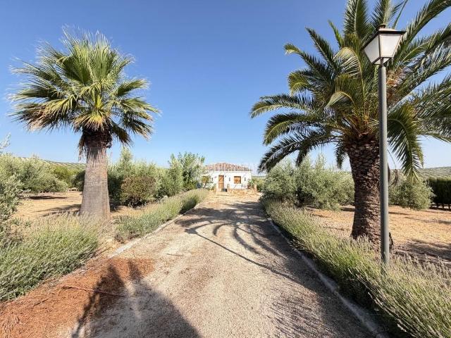 Casa Rural en venta en Alcaudete, Andalucía
