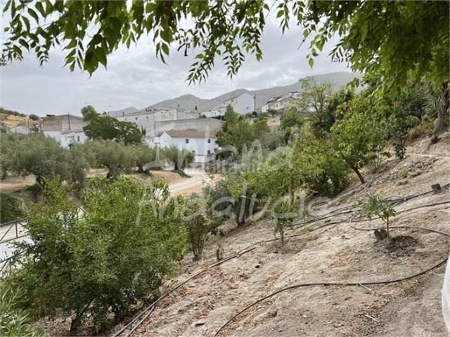 Casa Rural en venta en Alcaudete, Andalucía