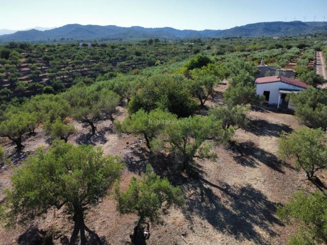 Casa Rural en venta en Baix Ebre, Catalunya