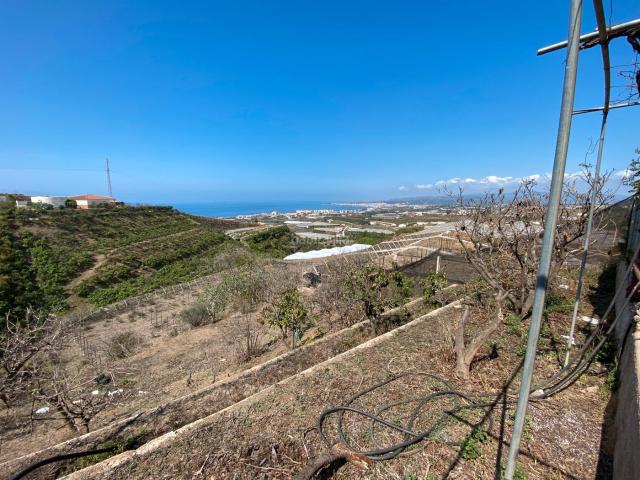 Casa Rural en venta en Algarrobo, Los Llanos