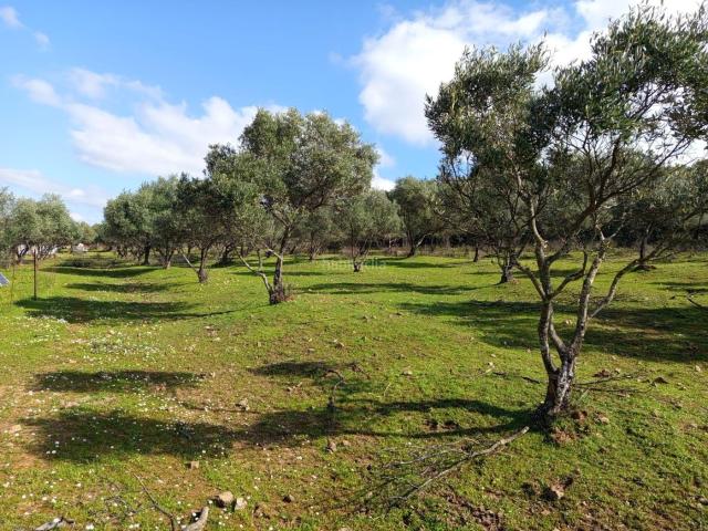 Casa Rural en venta en Almadén De La Plata, Andalucía