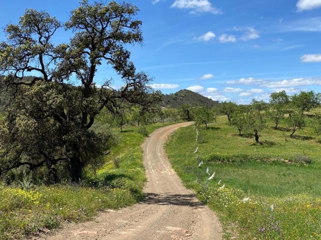 Casa Rural en venta en Valle del Guadalhorce, Andalucía