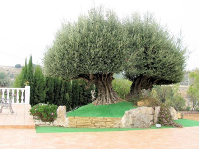 Casa Rural en venta en la Marina Baixa, Valencia