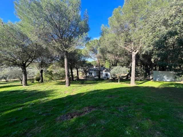 Casa Rural en venta en Huertas y Extyramuros, Andújar