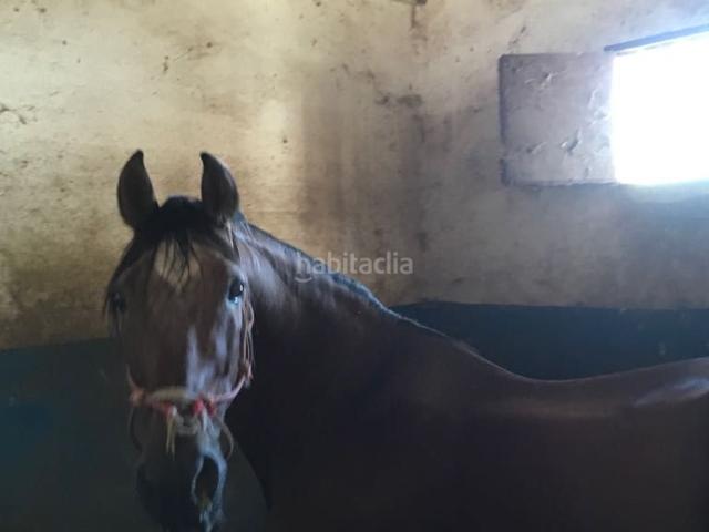 Casa Rural en venta en Sierra de Huelva, Andalucía