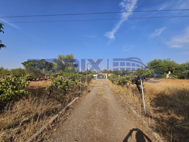 Casa Rural en venta en Argamasilla De Calatrava, Castilla-La Mancha